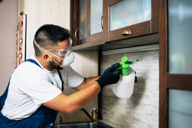 Best Pest Control Near Me  in Goshen, CA