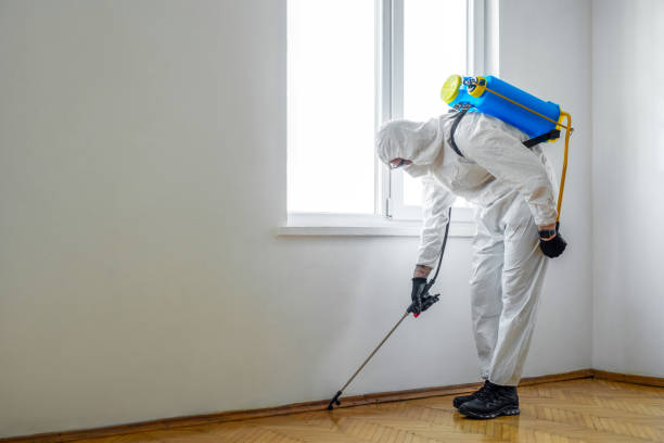 Best Best Pest Control Companies  in Goshen, CA
