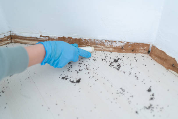 Best Best Pest Control Companies  in Goshen, CA