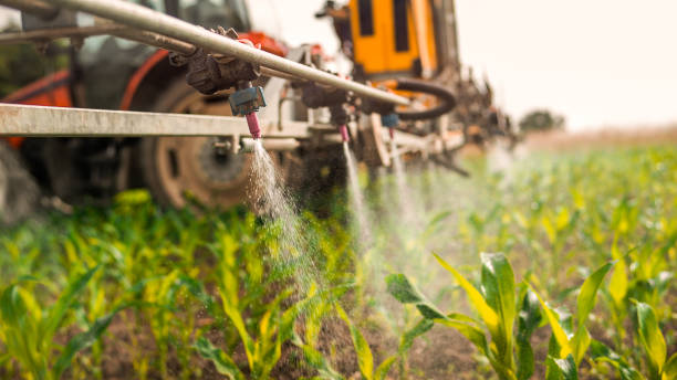 Best Ant Control Services  in Goshen, CA
