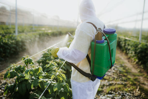 Wildlife Control Services in Goshen, CA